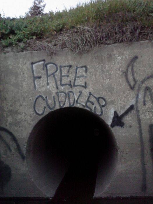 legit-free-cuddles