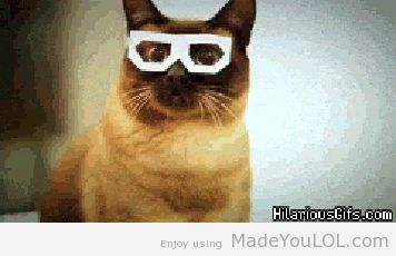HSMqYTm