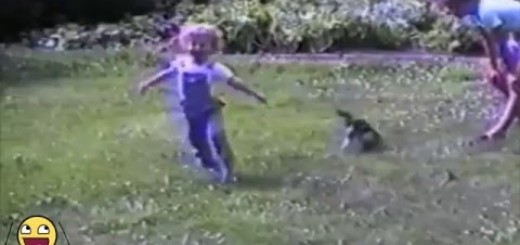 Cats vs Kids