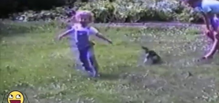 Cats vs Kids