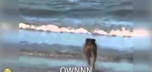 Dog Won't Listen To Owner